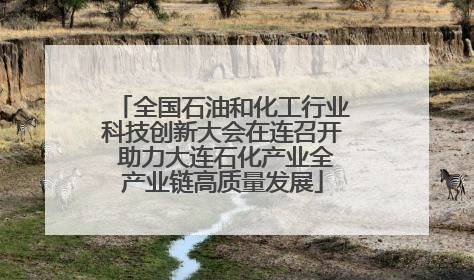 全国石油和化工行业科技创新大会在连召开 助力大连石化产业全产业链高质量发展