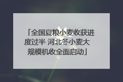全国夏粮小麦收获进度过半 河北冬小麦大规模机收全面启动