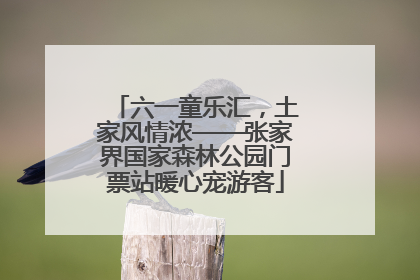 六一童乐汇，土家风情浓——张家界国家森林公园门票站暖心宠游客