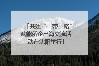 共建“一带一路”赋能侨企出海交流活动在沈阳举行