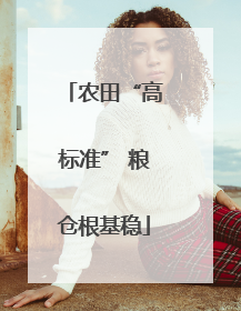农田“高标准” 粮仓根基稳