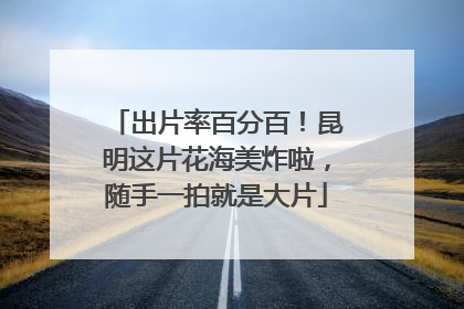 出片率百分百！昆明这片花海美炸啦，随手一拍就是大片