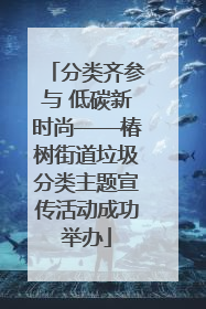 分类齐参与 低碳新时尚——椿树街道垃圾分类主题宣传活动成功举办