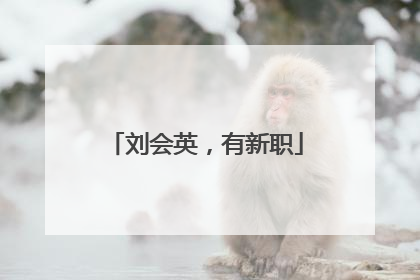 刘会英，有新职