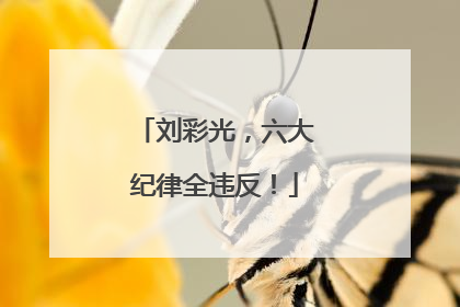 刘彩光，六大纪律全违反！