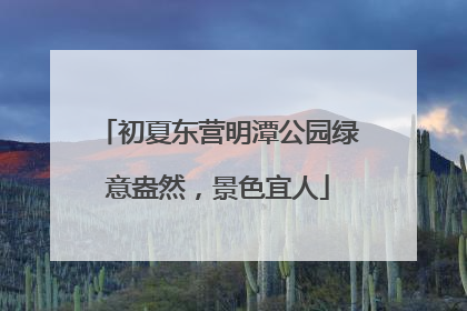 初夏东营明潭公园绿意盎然，景色宜人