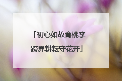 初心如故育桃李 跨界耕耘守花开