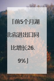 前5个月湖北省进出口同比增长26.9%