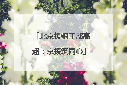 北京援疆干部高超：京援筑同心