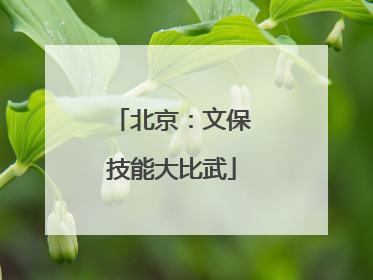 北京：文保技能大比武