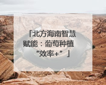 北方海南智慧赋能：葡萄种植“效率+”