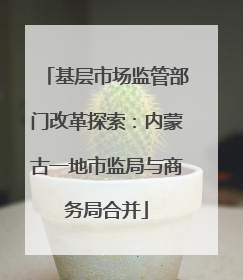 基层市场监管部门改革探索：内蒙古一地市监局与商务局合并
