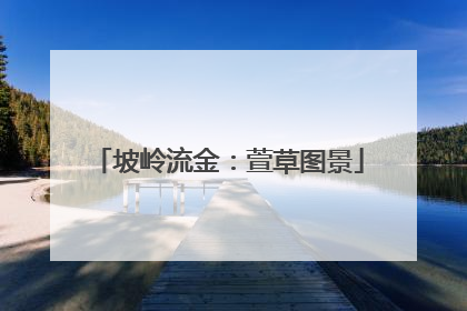 坡岭流金：萱草图景