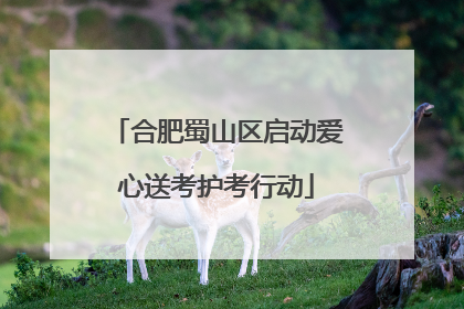 合肥蜀山区启动爱心送考护考行动