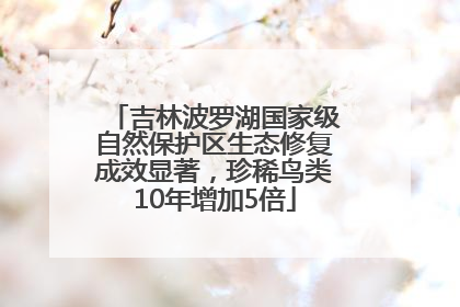 吉林波罗湖国家级自然保护区生态修复成效显著，珍稀鸟类10年增加5倍