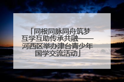 同根同脉同舟筑梦 互学互助传承共融——河西区举办津台青少年国学交流活动