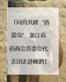 同舟共建“侨爱岛” 浙江省侨商会青委会代表团走进嵊泗