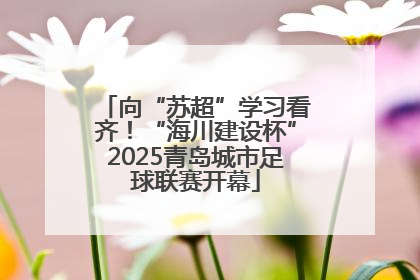向“苏超”学习看齐！“海川建设杯”2025青岛城市足球联赛开幕