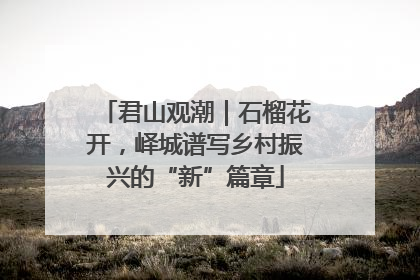 君山观潮｜石榴花开，峄城谱写乡村振兴的“新”篇章