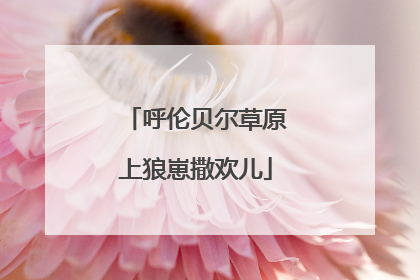 呼伦贝尔草原上狼崽撒欢儿