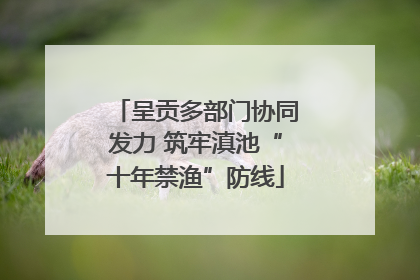 呈贡多部门协同发力 筑牢滇池“十年禁渔”防线