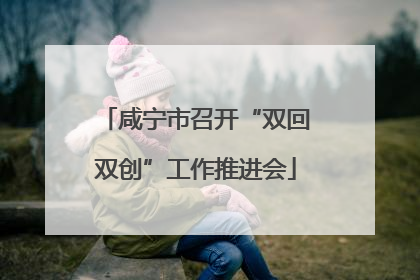 咸宁市召开“双回双创”工作推进会