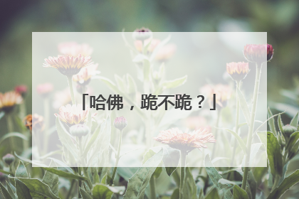哈佛，跪不跪？