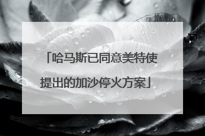 哈马斯已同意美特使提出的加沙停火方案