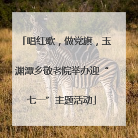 唱红歌，做党旗，玉渊潭乡敬老院举办迎“七一”主题活动