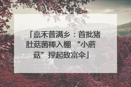 嘉禾普满乡：首批猪肚菇菌棒入棚 “小蘑菇”撑起致富伞