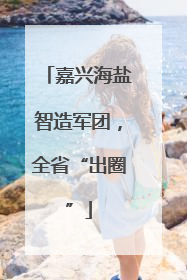 嘉兴海盐智造军团，全省“出圈”