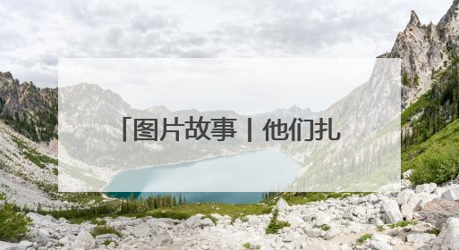 图片故事丨他们扎根深山 只为守护川金丝猴的家园