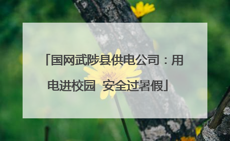 国网武陟县供电公司：用电进校园  安全过暑假