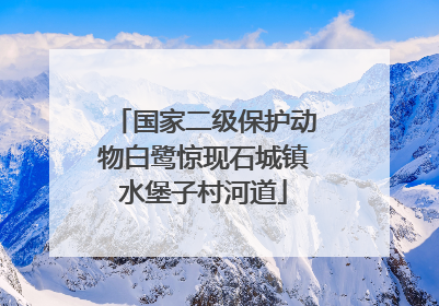 国家二级保护动物白鹭惊现石城镇水堡子村河道