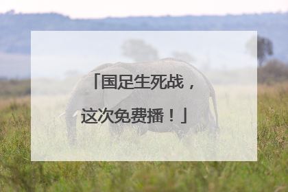 国足生死战，这次免费播！
