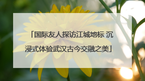 国际友人探访江城地标 沉浸式体验武汉古今交融之美