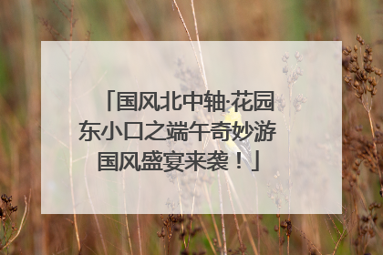 国风北中轴·花园东小口之端午奇妙游国风盛宴来袭！