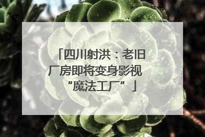 四川射洪：老旧厂房即将变身影视“魔法工厂”