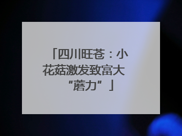 四川旺苍：小花菇激发致富大“蘑力”