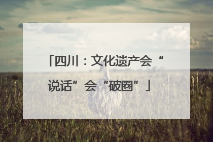 四川：文化遗产会“说话”会“破圈”