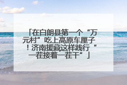 在白朗县第一个“万元村”吃上高原车厘子！济南援藏这样践行“一茬接着一茬干”