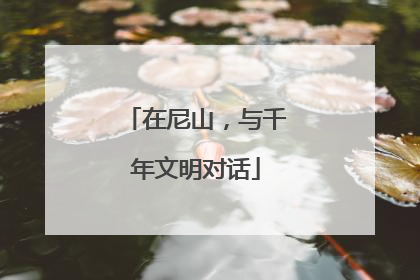 在尼山，与千年文明对话