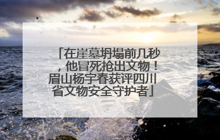 在崖墓坍塌前几秒，他冒死抢出文物！眉山杨宇春获评四川省文物安全守护者