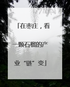 在枣庄，看一颗石榴的产业“链”变