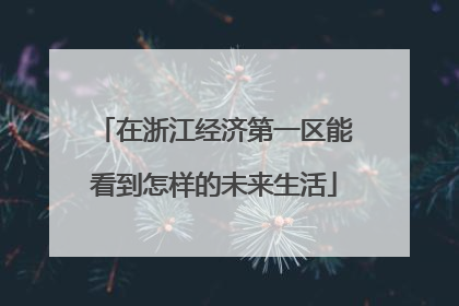 在浙江经济第一区能看到怎样的未来生活