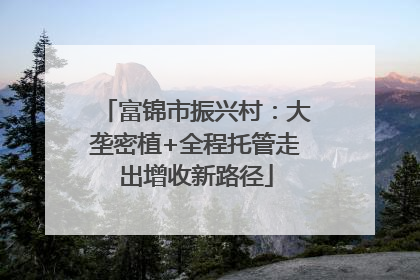 富锦市振兴村：大垄密植+全程托管走出增收新路径