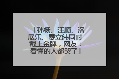 孙杨、汪顺、潘展乐、费立纬同时戴上金牌，网友：看懂的人都哭了