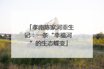 孝南陈家河重生记：一条“幸福河”的生态蝶变