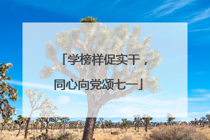学榜样促实干，同心向党颂七一