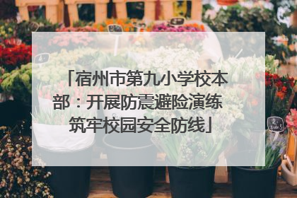 宿州市第九小学校本部：开展防震避险演练 筑牢校园安全防线